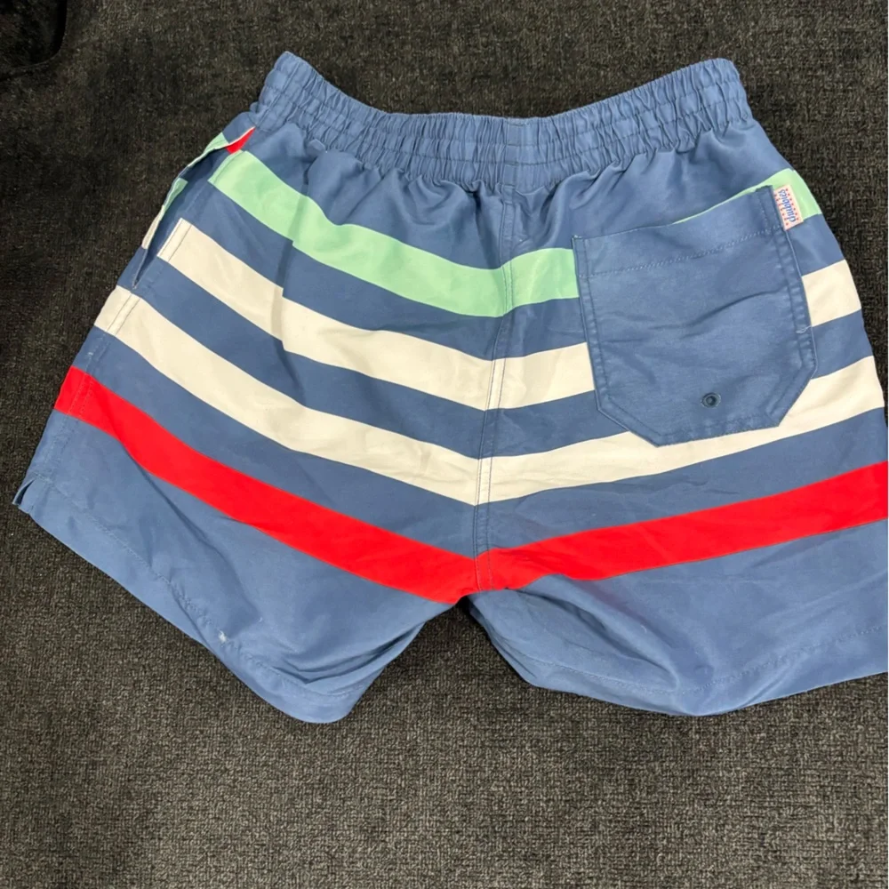 Chubbies Men's Striped Swim Trunks Shorts Medium Mesh Liner Blue Red Green White